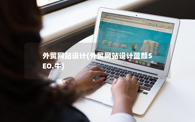 外贸网站设计(外贸网站设计蓝颜SEO.牛) 外贸网站设计(外贸网站设计蓝颜SEO.牛)