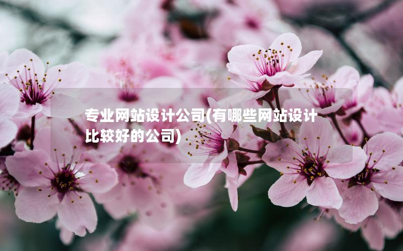 专业网站设计公司(有哪些网站设计比较好的公司)