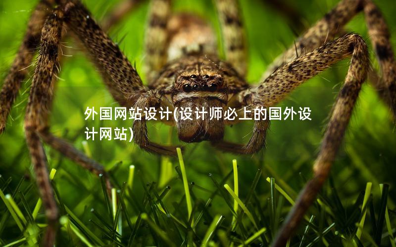 外国网站设计(设计师必上的国外设计网站)