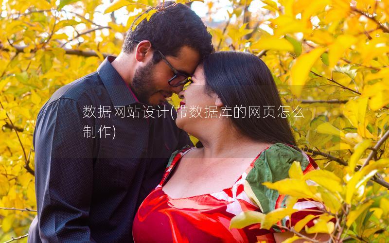 数据网站设计(带数据库的网页怎么制作)