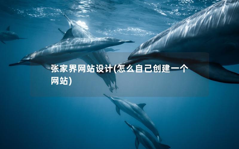张家界网站设计(怎么自己创建一个网站)