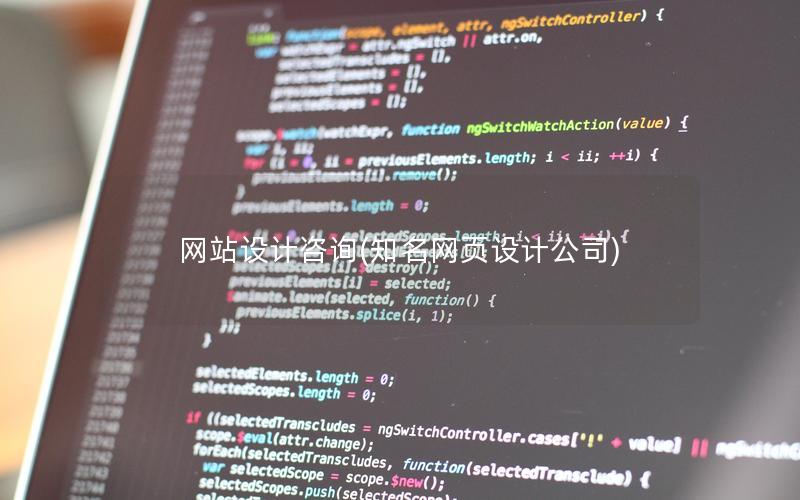网站设计咨询(知名网页设计公司)