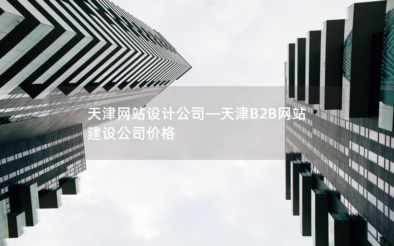 天津网站设计公司—天津B2B网站建设公司价格