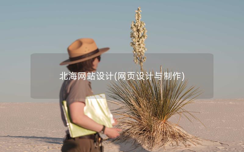 北海网站设计(网页设计与制作) 北海网站设计(网页设计与制作)