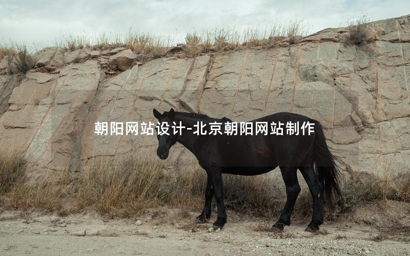 朝阳网站设计-北京朝阳网站制作