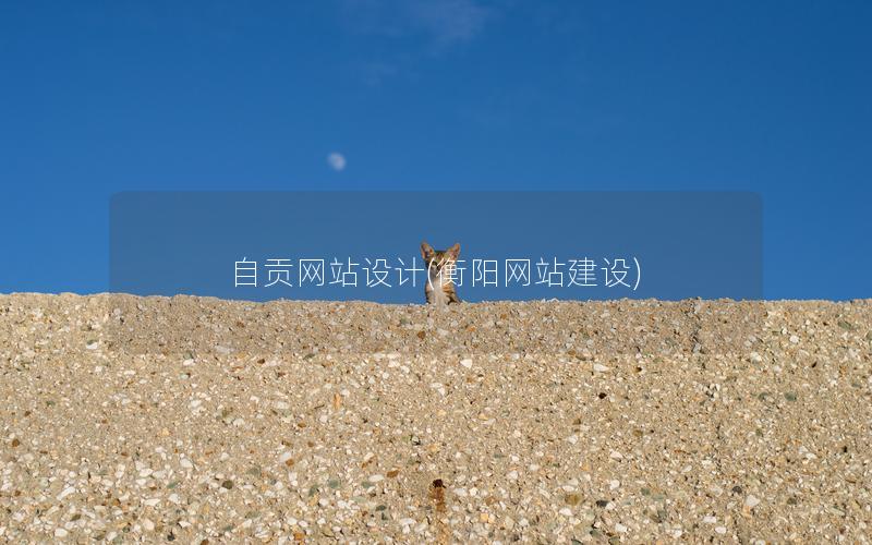 自贡网站设计(衡阳网站建设)