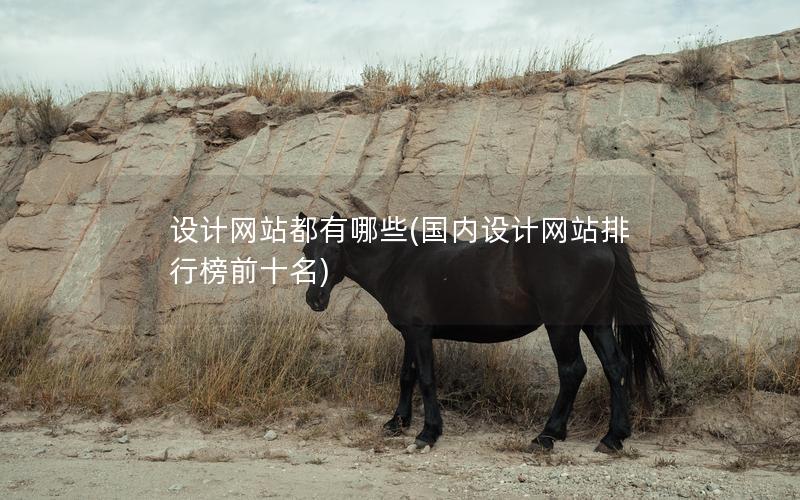设计网站都有哪些(国内设计网站排行榜前十名)