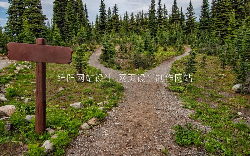 绵阳网站设计_网页设计制作网站