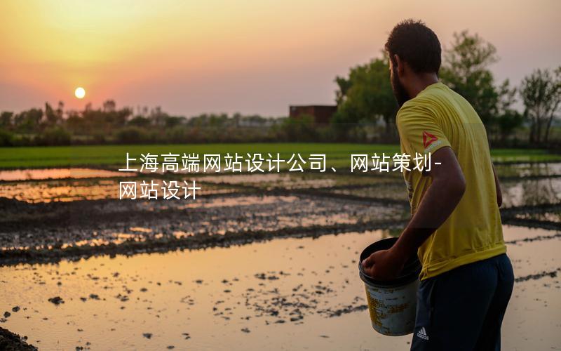 上海高端网站设计公司、网站策划-网站设计